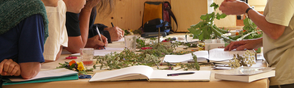 connaissance des plantes
