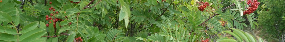 P1010360